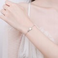 a20326bdbf2608f5d9312c5d18c1f51f
