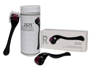 Derma Roller ZGTS 540 tytan